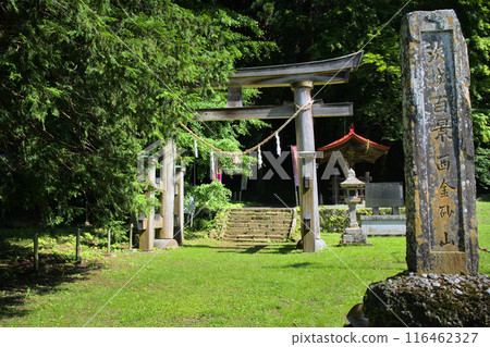 Torii gate of Nishikanesuna Shrine, Kamimiyakawachicho, Hitachiota City, Ibaraki Prefecture 116462327