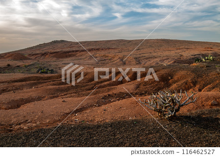 Landscape during golden hour, Lanzarote, Spain Landscape during golden hour, Lanzarote, Spain 116462527