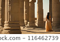 Beautiful woman in traditional Egyptian clothing in an ancient Egyptian temple. 116462739
