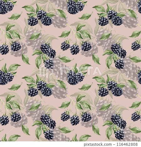 Blackberry, ripe berries. Watercolor illustration, floral seamless pattern on pink background with summer fruit for table textile, delicious prints, summer fabrics, wrapping paper and food packages 116462808