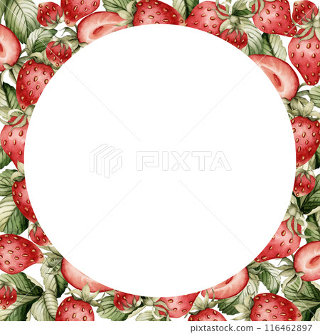 Strawberry frame, watercolor illustration isolated on white background. Summer garden berry fruits for table textile, porcelain tableware, delicious prints, logo, label and food or cosmetic packages Strawberry frame, watercolor illustration isolated on white background. Summer garden berry fruits for table textile, porcelain tableware, delicious prints, logo, label and food or cosmetic packages 116462897