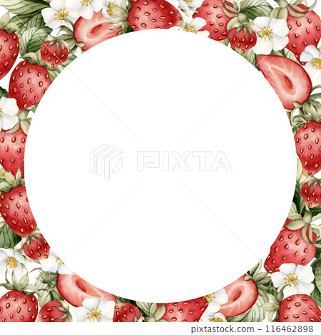 Strawberry frame, berry with flowers, watercolor illustration isolated on white background. Summer garden berry fruits for table textile, porcelain tableware, logo, label and food or cosmetic package Strawberry frame, berry with flowers, watercolor illustration isolated on white background. Summer garden berry fruits for table textile, porcelain tableware, logo, label and food or cosmetic package 116462898