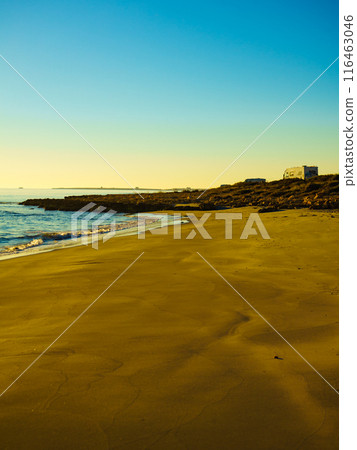 Camper cars on beach, camping on nature 116463046