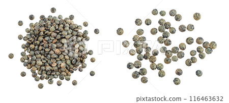 raw french green lentils isolated on white background with full depth of field 116463632