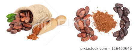 Cocoa beans in bag with leaves and cocoa powder in scoop isolated on white background 116463646