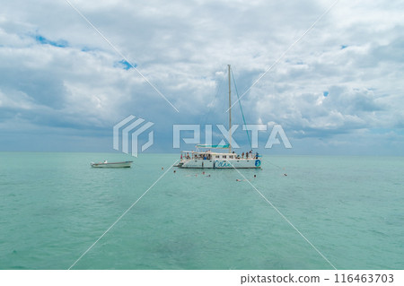 Boat excursion in Mauritius going to Ile aux Benitiers Boat excursion in Mauritius going to Ile aux Benitiers 116463703