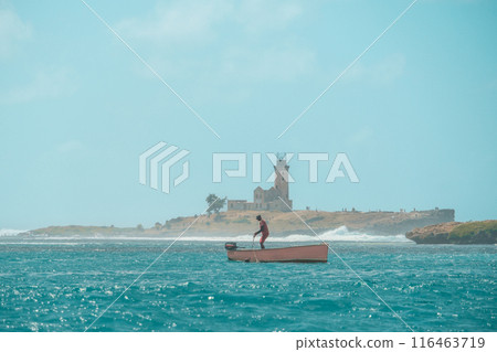 ile au phare or Lighthouse island in Mauritius ile au phare or Lighthouse island in Mauritius 116463719