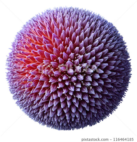 spherical virus on the alpha transparent background spherical virus on the alpha transparent background 116464185