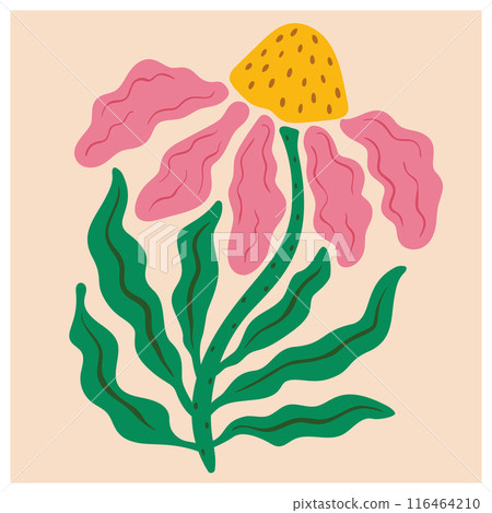 Abstract flower. Matisse minimal style. Hand drawn trendy botanical wall art. 116464210