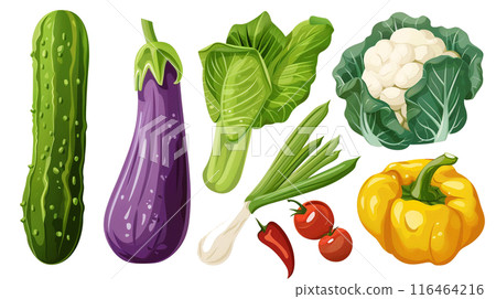 Illustration of various summer vegetables 116464216