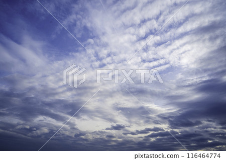 初秋的天空,各種雲層重疊 初秋的天空,各種雲層重疊 116464774