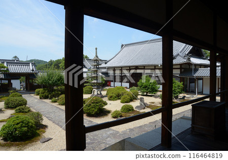 京都府宇治市興勝寺,從本堂看到的寺院景色 京都府宇治市興勝寺,從本堂看到的寺院景色 116464819