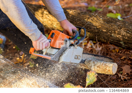 Municipal worker is clearing fallen with cutting trees that have fallen after strong hurricane 116464869