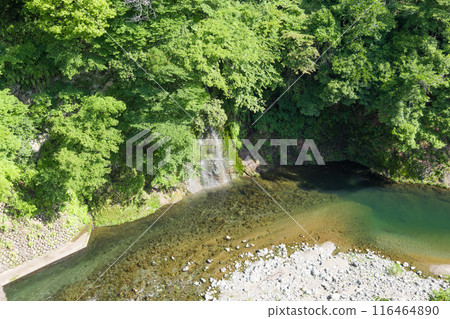 [Doshi River and waterfall in early summer] 116464890