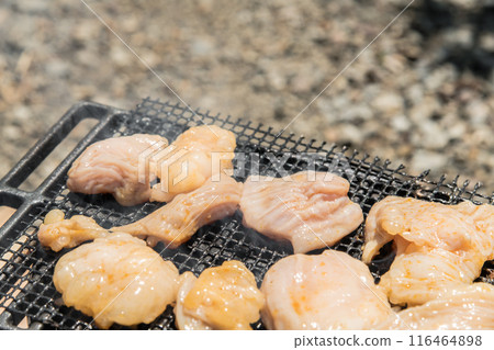 [Solo camping at the auto campground Grilling white offal on a net]　 116464898
