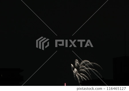 Fireworks Festival, City Area, Itami Fireworks Festival, Hyogo Prefecture 116465127