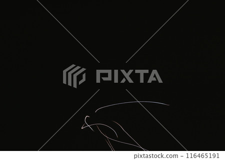 Itami Fireworks Festival, Hyogo Prefecture, the last fireworks festival of summer Itami Fireworks Festival, Hyogo Prefecture, the last fireworks festival of summer 116465191