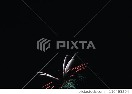 Itami Fireworks Festival, Hyogo Prefecture, the last fireworks festival of summer 116465204