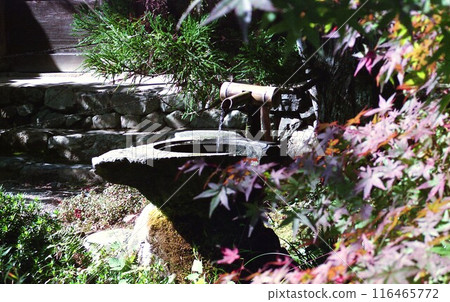 Kyoto in November 1989 Kyoto in November 1989 116465772