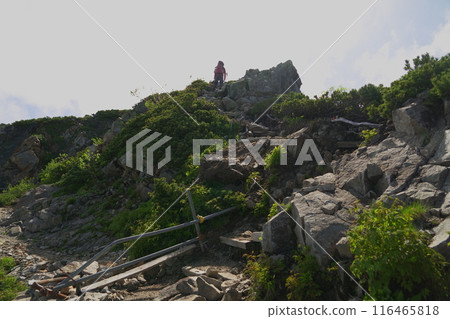 The hiking trail leading to Mt. Karamatsu The hiking trail leading to Mt. Karamatsu 116465818
