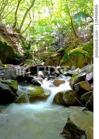 Asano Falls Nature Park in summer Asano Falls Nature Park in summer 116466066