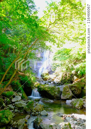 夏季的淺毛瀑布自然公園 夏季的淺毛瀑布自然公園 116466067