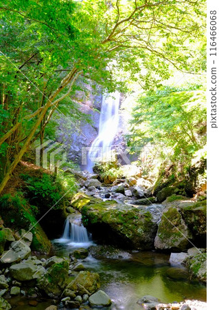 夏季的淺毛瀑布自然公園 夏季的淺毛瀑布自然公園 116466068