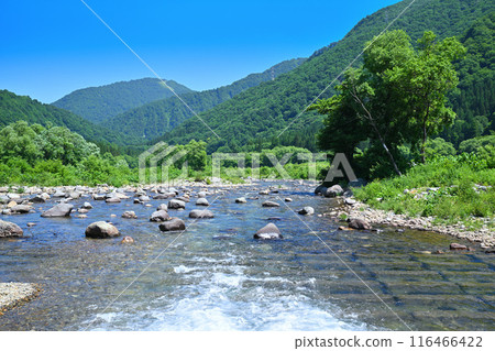 清津川 美麗的山水風景 新潟縣湯澤町 清津川 美麗的山水風景 新潟縣湯澤町 116466422