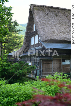 世界遺產 五簇山相倉合掌造村落 世界遺產 五簇山相倉合掌造村落 116466593