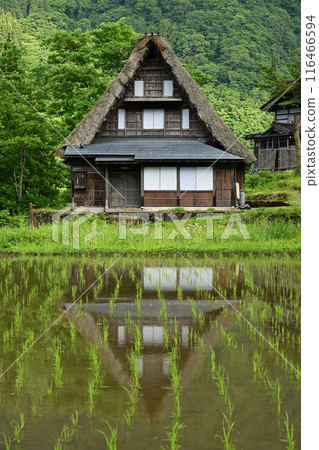 世界遺產 五簇山相倉合掌造村落 世界遺產 五簇山相倉合掌造村落 116466594