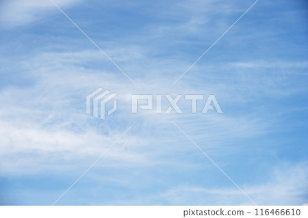 夏天的天空藍天晴朗的天空素材[東京] 116466610