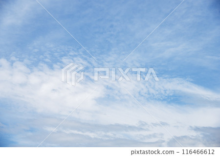 夏天的天空藍天晴朗的天空素材[東京] 116466612