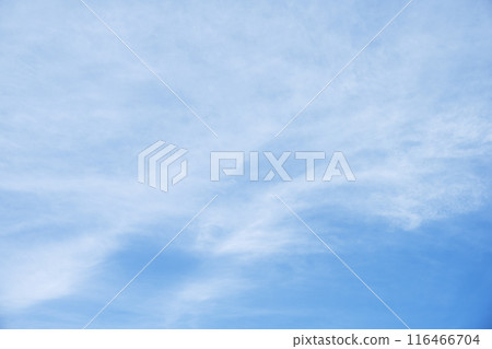 夏天的天空藍天晴朗的天空素材[東京] 116466704