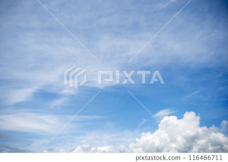 夏天的天空藍天晴朗的天空素材[東京] 116466711