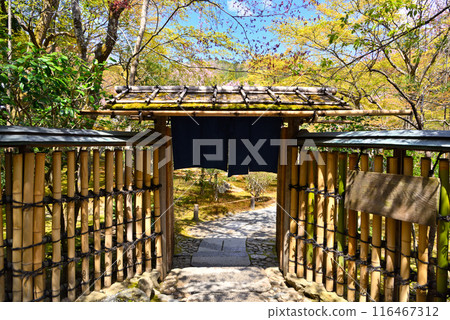 餐廳的入口 116467312