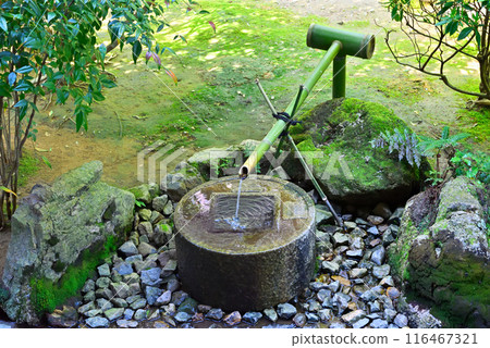 水ik 水ik 116467321