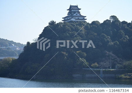 高聳於山巒之上的犬山城 高聳於山巒之上的犬山城 116467334