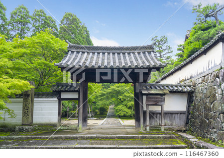 Early summer in Kyoto: Shuonan (Ikkyu-ji Temple) Main Gate 116467360