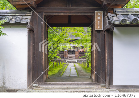 The stone-paved approach to the main hall of Shuonan (Ikkyu-ji Temple) is lined with beautiful green foliage. The stone-paved approach to the main hall of Shuonan (Ikkyu-ji Temple) is lined with beautiful green foliage. 116467372