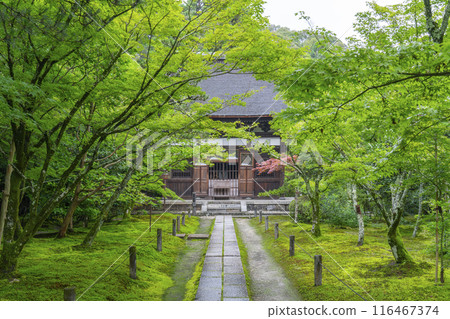 通往秀恩庵（一休寺）正殿的石板路，秋天的楓葉非常美麗 116467374
