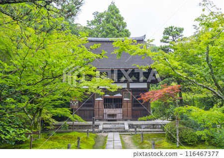 碩南（一休寺）正殿被藍色的秋葉包圍 116467377