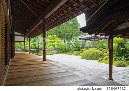 Shuonan (Ikkyu-ji Temple) Southern garden of the abbot's chamber 116467382