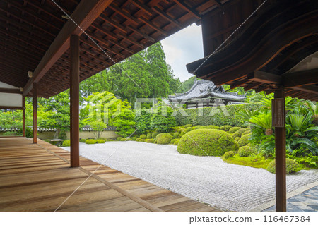 Shuonan (Ikkyu-ji Temple) Southern garden of the abbot's chamber 116467384