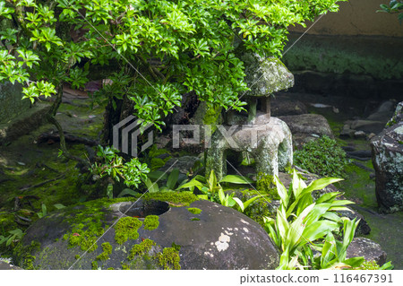 碩南（一休寺） 北條庭園 116467391