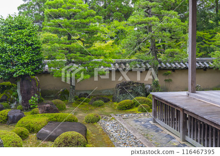 碩南(一休寺) 北條庭園 碩南(一休寺) 北條庭園 116467395