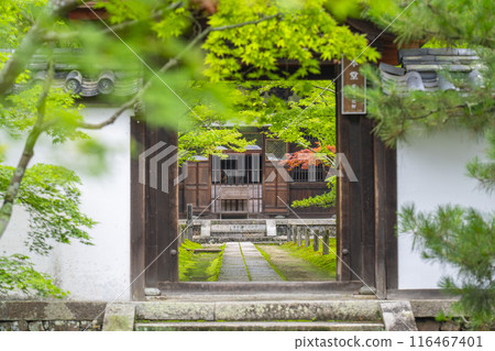 Shuonan (Ikkyu-ji Temple) - The main hall surrounded by green leaves Shuonan (Ikkyu-ji Temple) - The main hall surrounded by green leaves 116467401