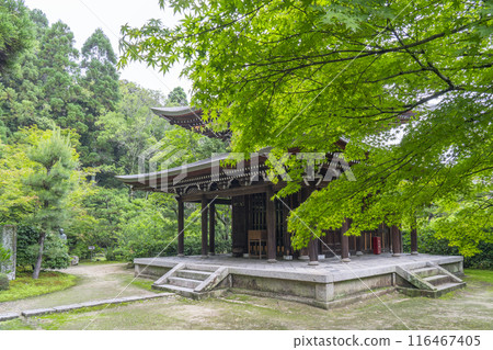周恩庵(一休寺) 被藍色秋葉包圍的開山堂 周恩庵(一休寺) 被藍色秋葉包圍的開山堂 116467405