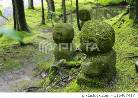Shuonan (Ikkyu-ji Temple) 20th Century Forest - Many Arhat Statues 116467417