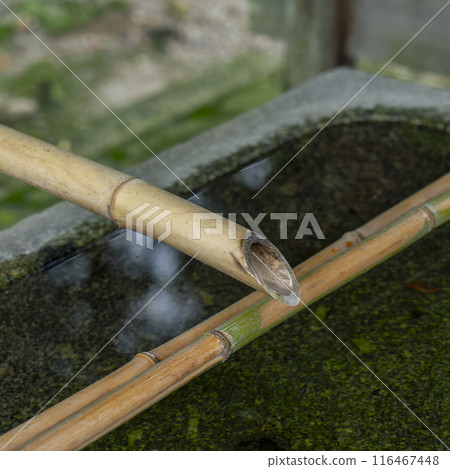 Shuonan (Ikkyu-ji Temple) Chozuya (purification fountain) Shuonan (Ikkyu-ji Temple) Chozuya (purification fountain) 116467448