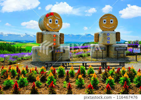 Roll-chan and Roll-kun from Shikisai no Oka Roll-chan and Roll-kun from Shikisai no Oka 116467476